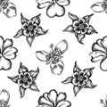 Seamless pattern with black and white impatiens, tigridia, aquilegia