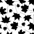 Seamless pattern black white maple leaves silhouette collection. nature scandinavian style background. decor trend of the season. Royalty Free Stock Photo