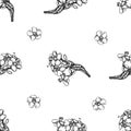 Seamless pattern with black and white milkweed Royalty Free Stock Photo