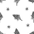 Seamless pattern with black and white ornithogalum