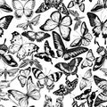 Seamless pattern with black and white papilio ulysses, morpho menelaus, graphium androcles, morpho rhetenor cacica