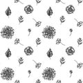 Seamless pattern with black and white poppy flower, gerbera, sunflower, milkweed, dahlia, veronica Royalty Free Stock Photo