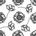 Seamless pattern with black and white poppy flower Royalty Free Stock Photo