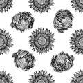 Seamless pattern with black and white protea
