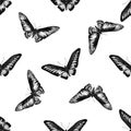 Seamless pattern with black and white rajah brooke`s birdwing