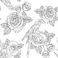 Seamless pattern black and white rose with leaves and macaw parrot for fashion textile, flower and bird vector illustration Royalty Free Stock Photo