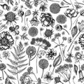 Seamless pattern with black and white shepherd`s purse, heather, fern, wild garlic, clover, globethistle, gentiana