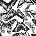 Seamless pattern with black and white wallace`s golden birdwing, ambulyx moth, white-banded hunter hawkmoth, madagascan