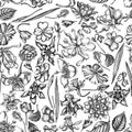 Seamless pattern with black and white ylang-ylang, impatiens, daffodil, tigridia, lotus, aquilegia