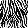 Seamless pattern with black zebra animal skin striped print texture fur Royalty Free Stock Photo