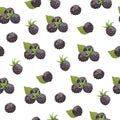 Seamless pattern with blackberries. White background, isolate. Vector illustration Royalty Free Stock Photo