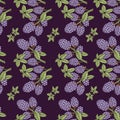 Seamless pattern of blackberry with branch and leaves Royalty Free Stock Photo