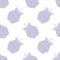 Seamless pattern with blackberry in pastel color. Violet currants in white background. Summer background with wild berries
