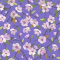 Seamless pattern with blooming apple branches. Spring blossoms floral background Royalty Free Stock Photo