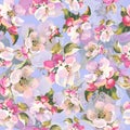 Seamless pattern with blooming apple tree branches on blue. Floral watercolor background. Perfect for design templates Royalty Free Stock Photo