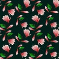 Seamless pattern with blooming magnolia flowers and leaves. Gouache illustration. Pattern on isolated dark green background for Royalty Free Stock Photo