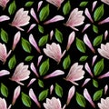 Seamless pattern with blooming magnolia flowers and leaves. Watercolor illustration. Pattern on isolated on black background for Royalty Free Stock Photo