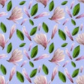 Seamless pattern with blooming magnolia flowers and leaves. Watercolor illustration. Pattern on isolated blue background for your Royalty Free Stock Photo