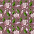 Seamless pattern with blooming magnolia flowers and leaves. Watercolor illustration. Pattern on isolated brown background for your Royalty Free Stock Photo