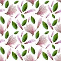 Seamless pattern with blooming magnolia flowers and leaves. Watercolor illustration. Pattern on white background for your design, Royalty Free Stock Photo