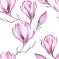 Seamless pattern with blooming magnolia twig. Watercolor illustration. Royalty Free Stock Photo