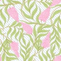 Seamless pattern with blooming pink acacia in art nouveau style. Vector illustration