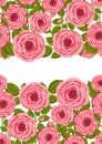 Seamless pattern with blooming roses. Vector floral illustration for postcard, poster, fabric, wrapping paper, decor etc Royalty Free Stock Photo