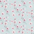 Seamless pattern of blossom pink cherry flowers in watercolor style with white background. Summer blooming japanese