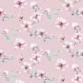 Seamless pattern of blossom pink cherry flowers in watercolor style with white background. Summer blooming japanese