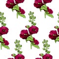 Seamless pattern with blossoming bouquets of maroon mallow flowers and green leaves. Hand drawn ink and colored sketch.
