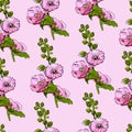 Seamless pattern with blossoming bouquets of pink mallow flowers and green leaves. Hand drawn ink and colored sketch.