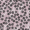 Seamless pattern with blossoming Japanese cherry sakura.Black flowers on cofee background Royalty Free Stock Photo