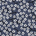 Seamless pattern with blossoming Japanese cherry sakura.White flowers on slate grey background Royalty Free Stock Photo
