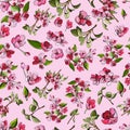Seamless pattern of blossoming pink branch of apple tree and flowers. Hand drawn colored sketch of malus flowers.