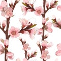 Seamless Pattern With Blossoming Pink Flowers.