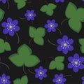 Seamless pattern blue anemone Royalty Free Stock Photo