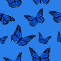 Seamless pattern of blue butterflies on a blue background vector image Royalty Free Stock Photo
