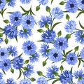Seamless pattern with blue cornflowers. Vector ill