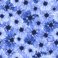 Seamless pattern with blue cornflowers. Vector illustration.