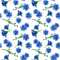 Seamless pattern of blue flax flowers. Watercolor hand drawn illustration isolated on white background. Healthy food