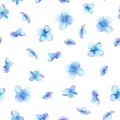 A seamless pattern with the blue flowers (Myosotis) Royalty Free Stock Photo