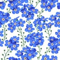 Forget-me-nots in a seamless vector pattern. Realistic blue flowers on white background. Royalty Free Stock Photo