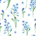 Seamless pattern with the blue forget-me-not flowers (Myosotis) Royalty Free Stock Photo