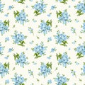 Seamless pattern with blue forget-me-not flowers. Vector illustration.