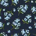 Seamless pattern with blue forget-me-not flowers. Vector illustration. Royalty Free Stock Photo