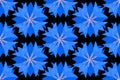 Seamless pattern, blue geometric stylized cornflower flowers, in a simple pattern on a black background. Bright ornament