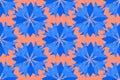Seamless pattern, blue geometric stylized cornflower flowers, in a simple pattern on a coral background. Bright ornament