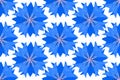 Seamless pattern, blue geometric stylized cornflower flowers, in a simple pattern on a white background. Bright ornament