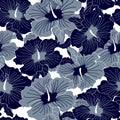 Seamless pattern, blue and gray hibiscus flowers on a white background. Vintage background, print, textile vector Royalty Free Stock Photo