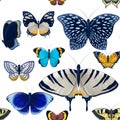 seamless pattern of blue, gray, orange, brown butterflies set isolated on white background